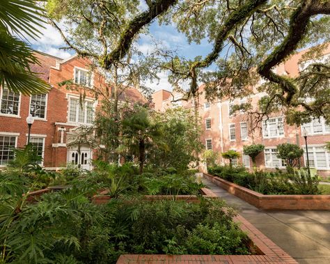 Most beautiful public college campuses  All the scenery, a fraction of the cost. Beautiful University, Campus Aesthetic, College Vision Board, Colleges In Florida, Us Universities, Dream School, Graduation Photoshoot, College Campus, University Of Florida