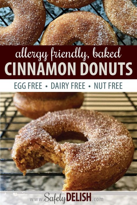 Egg Free Donuts, Dairy Free Donuts, Nut Free Desserts, Allergy Friendly Desserts, Nut Free Snacks, Egg Free Breakfast, Cinnamon Donuts, Nut Free Recipes, Egg Free Recipes