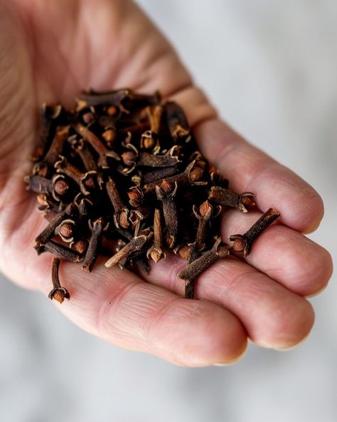 How to grow a clove plant from cloves at home. Here's a step-by-step guide Clove Plant, Dried Cloves, Cloves Benefits, Design Garden Ideas, Herbs Plants, Design Garden, Flower Display, Ideas Garden, Planting Herbs