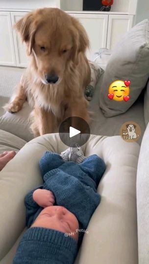 2.7K reactions · 232 shares |  | Kawther_kawther | adam.elea1 · Side By Side - Forever You And I - @Adam.Elea Baby Animal Videos, Our Song, Cute Funny Babies, Summer Dresses For Wedding Guest, Bull Terriers, Dogs And Kids, Cute Funny Dogs, Funny Dog Videos