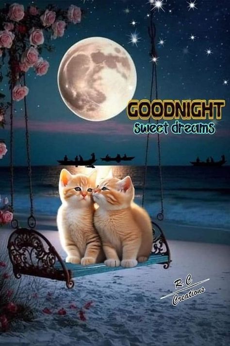 10 Good Night Images To Give You Very Sweet Dreams Good Night Blessings Quotes, Good Night Cards, Good Morning Christmas, Good Night Cat, Good Night Beautiful, Good Night Funny, Relaxing Night, Good Night Images, King Charles Cavalier Spaniel Puppy