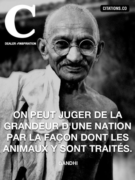 Citation : Gandhi - Citation-inspiration.com Citation Gandhi, Quote Citation, Artist Quotes, French Quotes, Greater Good, Sweet Words, Some Words, Positive Attitude, Positive Affirmations