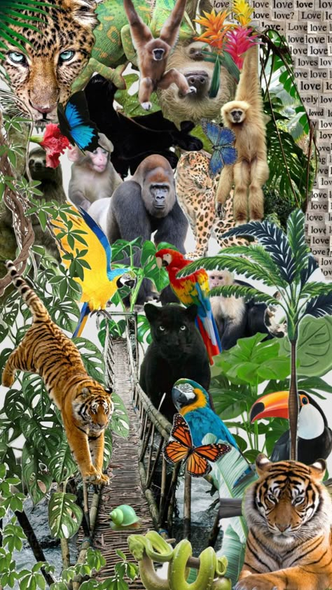 Wildlife Biology Aesthetic, Wildlife Biologist, Disney Characters Wallpaper, Nature Collage, The Audacity, Animal Conservation, Surreal Collage, Magazine Collage, Food Poisoning