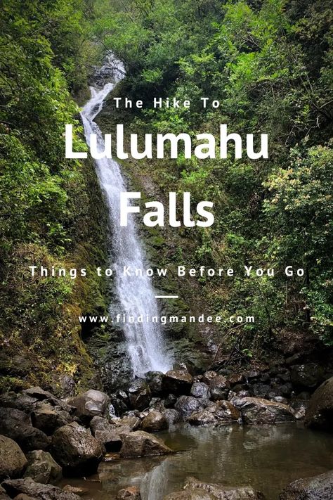 The Hike to Lulumahu Falls: Some Things to Know Before You Go - finding mandee Lulumahu Falls Oahu, Schofield Barracks Hawaii, Travel Tags, Green Landscape, Oahu Hawaii, Lush Green, Honolulu, Things To Know, Oahu