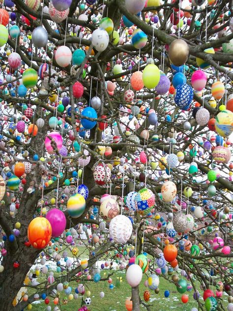 German Easter Facts and Customs- All About Easter in Germany! German Easter Traditions, German Easter, Farmhouse Easter Decor, Easter Egg Tree, Learning German, Easter Event, Custom Easter, Easter Decorations Vintage, Easter Traditions