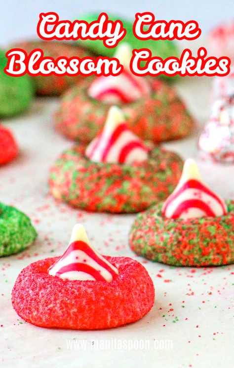 These festive classic Candy Cane Blossom Cookies are not just gorgeous they are delicious, too. Perfect as a gift for teachers, family, and friends. I gave this as a gift in a mug and it was well-loved! #candycanecookies #blossomcookies #candycaneblossomcookies #holidaycookies #christmascookies Gift In A Mug, Holiday Recipes Thanksgiving, Delicious Christmas Desserts, Blossom Cookies, Best Christmas Recipes, Classic Candy, Best Christmas Cookies, Delicious Cookie Recipes, In A Mug