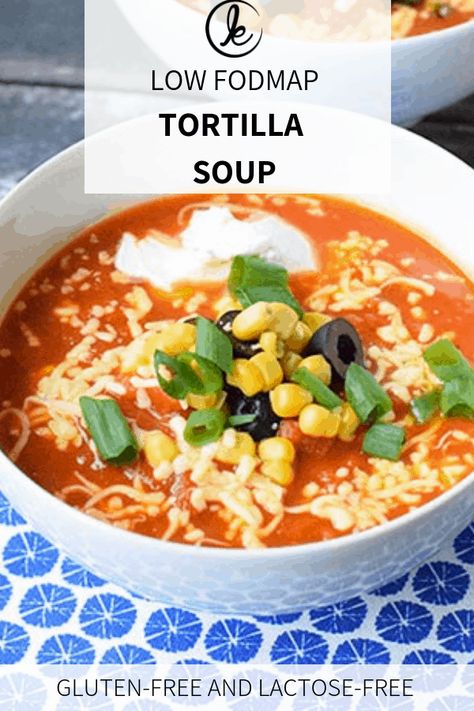 Low Fodmap Soup, Fodmap Soup, Vegetarian Bowl, Soup Tortilla, Mexican Tortilla Soup, Chips Homemade, Fodmap Dinner, Fodmap Meals, Fodmap Lunch