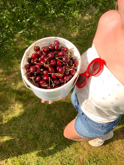 Cherry Picking Aesthetic, Portugal Aesthetic, Cherry Picking, Anniversary Dates, Strawberry Shortcake, Cute Food, Portugal, Cherry