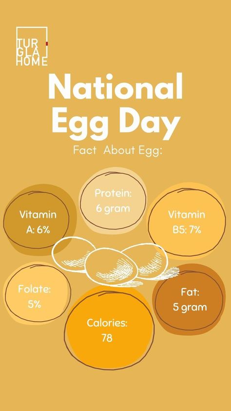 World Egg Day, National Egg Day, Egg Restaurant, Egg Project, Egg Facts, Chicken Store, Telur Ayam, Egg Benefits, Egg Protein