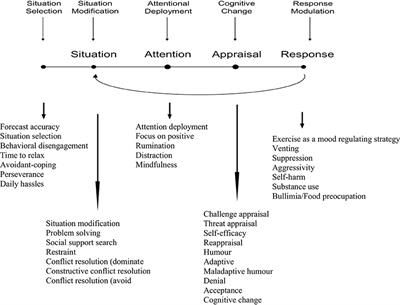 Therapy Group Activities, Emotion Management, Thinking Errors, How To Control Emotions, Emotion Regulation, Routine Life, Self Efficacy, Psychology Disorders, Scientific Diagram