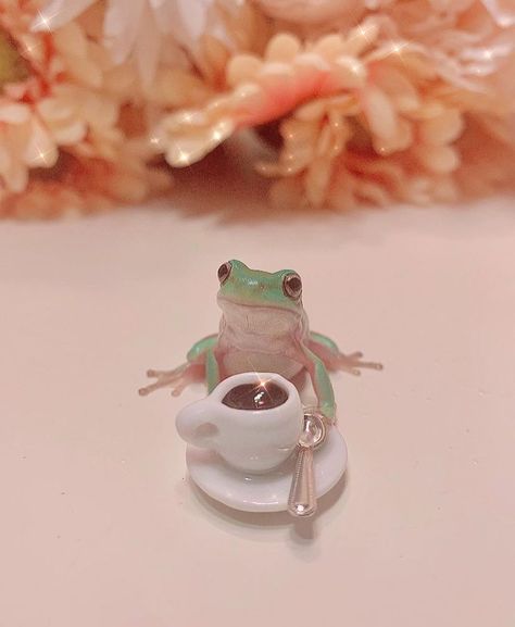 𝖋𝖗𝖔𝖌 on Instagram: “Credit: @theminidinosaurs _____ So cute 🥺🥺🥺 Guys I’m moving in like a week omg 🐸 🐸 #frogs #frogsdaily #frog #frogaesthetic…” Frog Costume, Pet Frogs, Baby Frog, Frog Pictures, Frog Tattoos, Cute Reptiles, Frog Art, Frog And Toad, Cute Frogs