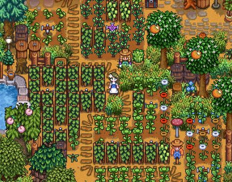 Stardew Forest Farm Design, Frontier Farm Stardew Valley, Stardew Valley Fish Pond Layout, Stardew Valley Garden, Stardew Forest Farm, Sdv Layout Standard Farm, Stardew Valley Cindersap Forest Design, Stardew Valley Cindersap Forest, Harvest Games