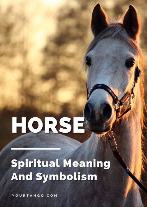 Horse Meaning Spirit Animal, Horse Symbolism Meaning, Horse Spirit Animal Meaning, Horse Totem Spirit Animal, Spirit Animal Horse, Horse Spiritual Meaning, Horse Meaning, Horse Symbolism, Horse Guide