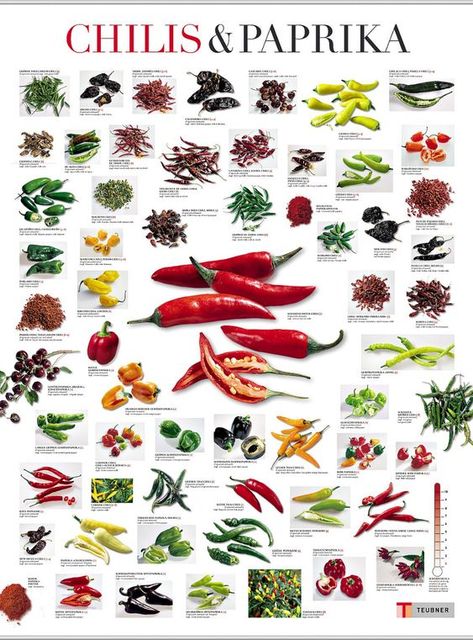 Chilli Spice, Taco Bell Recipes, Chilli Plant, Types Of Peppers, Hot Sauce Recipes, Chilli Recipes, Food Info, Chilli Pepper, Spices And Herbs