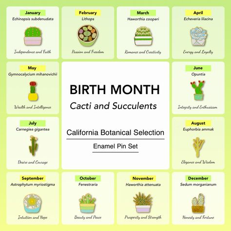 Birth Month Cacti and Succulents - California Botanical Selection Enamel Pin Set Cactus Meaning, Cactus Names, Haworthia Cooperi, Gymnocalycium Mihanovichii, May Birthday, Beach Birthday, Carolina Beach, Birthday Month, Names With Meaning