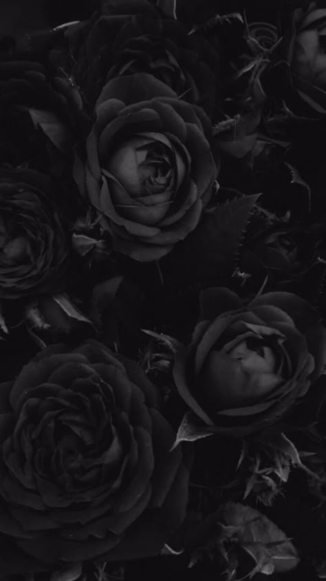 Floral Wallpapers for iPhone and AndroidClick the link below to get the latest Tech News and Gadget Updates Wallpaper Samsung Galaxy, Black Roses Wallpaper, Vintage Foto's, Wallpaper Samsung, Gothic Wallpaper, Chic Lounge, Cute Black Wallpaper, Black Phone Wallpaper, Black Roses