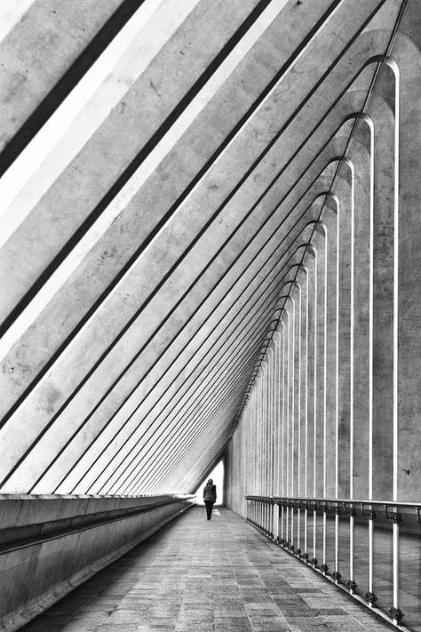 Chose your line #4 by Eric Forey / 500px Diagonal Lines Art Design, Photography Triangle, Photography Composition Rules, Line Photography, Rule Of Three, Architecture Images, Photography Series, Composition Photography, Line Art Design