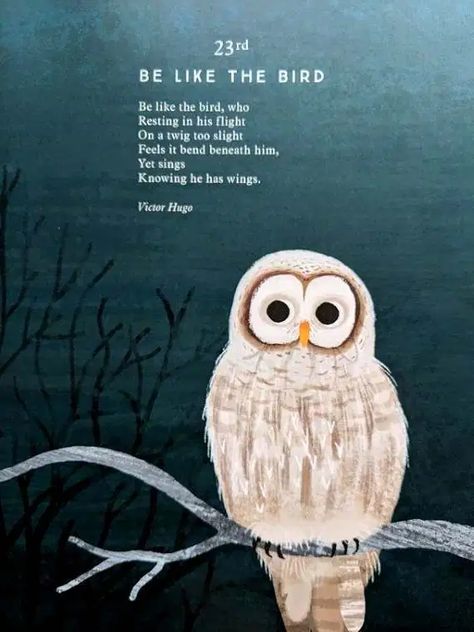 Owl Poem, Bird Poems, Nature Poems, Owl Quotes, Owl Wisdom, Bird Craft, Nature Poem, Childrens Poems, Childrens Poetry