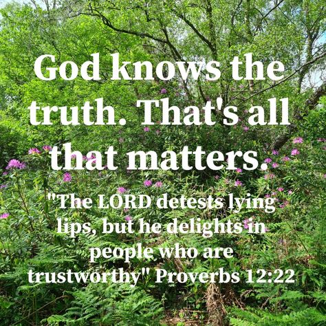 Quotes About Lying Family, Secrets Destroy Quotes, You Lied About Me Quotes, When People Lie About You Quotes, People Lie To Make Themselves Look Good, Lies About Your Character, Bible Verse About Lies, Truth Over Lies Quotes, When People Tell Lies About You