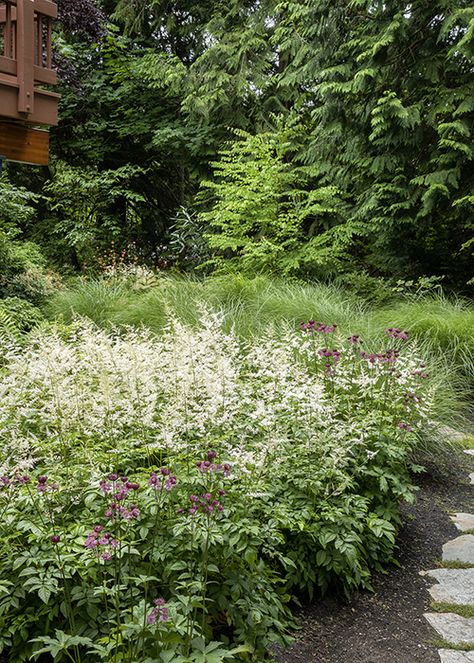 Design School: How a Pro Creates a Lush Woodland Garden Modern Woodland Garden, Pnw Native Garden Design, Pnw Plants For Garden, Woodland Garden Design, Woodland Garden Plants, Woodland Planting, Woodland Garden Ideas, Woodland Slope Garden, Woodland Planting Scheme