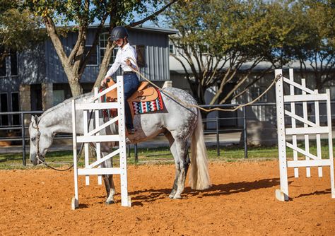 Ranch Riding, Western Trail, Horse Showing, Horse Knowledge, Horse Info, Santa Anita, Training Exercises, Horse Tips, Barn Ideas