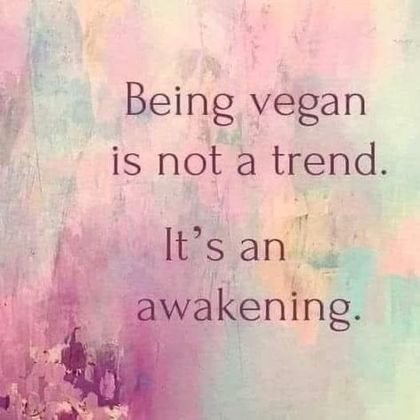 Vegan Facts, Vegan Vibes, Being Vegan, How To Become Vegan, Vegan Memes, Vegan Quotes, Why Vegan, Vegan Inspiration, Life Is Precious