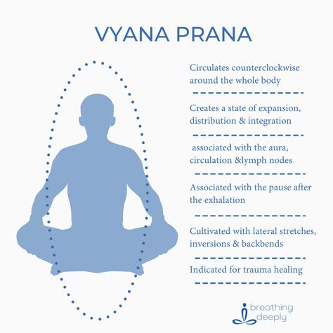 The energy of Vyana moves in a circulating, clockwise direction around the whole body!⁠ It is associated with the auric field of the body, circulation and lymph nodes.⁠ This energetic current is cultivated in our energy body through lateral stretches, backbends, inversion, and the pause after the exhale.⁠ Vyana prana helps us create a state of vitality and vibrancy and governs our ability to function as a coordinated, integrated, and connected whole.⁠ #yoga #prana #energybody Lateral Stretches, Prana Vayus, Yoga For Migraines, Yoga For Mental Health, Pranayama Yoga, Guided Relaxation, Lead Teacher, Ayurveda Life, Breath Work