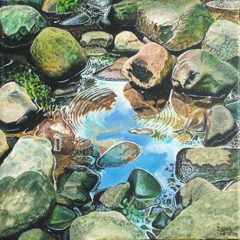 Rocks and pebblrs around a small pool, which is reflecting a blue sky. Acrylic on 8”x8” canvas. Rocks Under Water Paintings, Rock Pool Drawing, Tide Pool Drawing, Rock Pool Illustration, Rock Pool Painting, Rock Pool Art, Tide Pool Painting, Tide Pool Illustration, Tide Pool Art