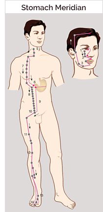 Stomach Meridian, Body Pressure Points, Meridian Acupuncture, Tcm Traditional Chinese Medicine, Meridian Energy, Stomach Gas, Meridian Points, Acupressure Therapy, Balance Energy