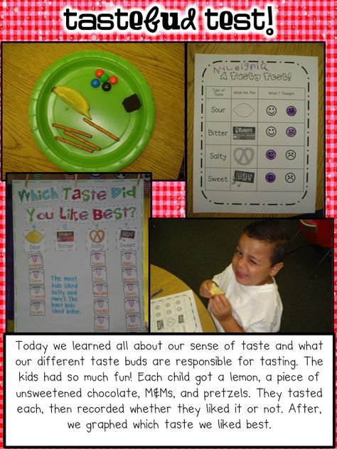 5 senses activities***note to self...this links to a GREAT blog for kinder activities, but most can be used for pre-k. 5 Senses Preschool, Five Senses Preschool, 5 Senses Activities, Pre-k Science, Senses Preschool, My Five Senses, Kindergarten Smorgasboard, Senses Activities, Alphabet Charts