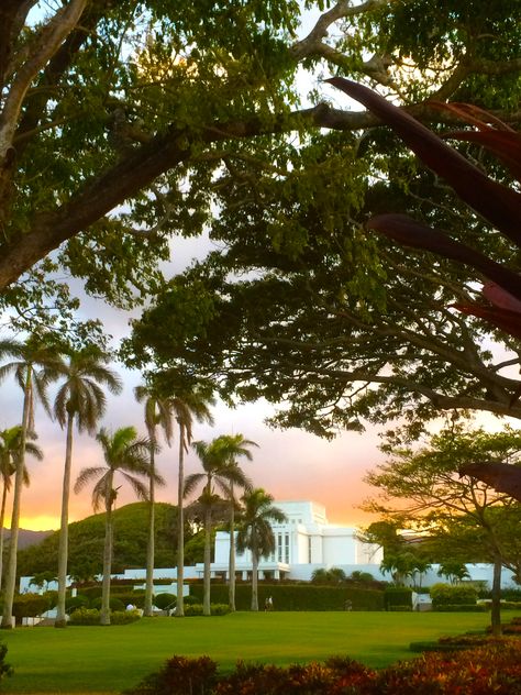 Laie, Hawaii Temple ©Cody Easterbrook Laie Temple, Hawaii Temple Lds, Laie Hawaii, Daigo-ji Temple, San Diego Lds Temple, Hawaii Temple, Wedding Lds, Lds Temple Endowment, Laie Hawaii Temple