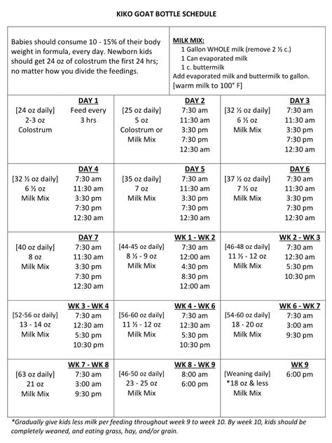 After bottle feeding multiple rejected kids, I’ve created this schedule to take away the guess work when emergency feeding arises. Goat Feeders Grain, Bottle Feeding Goats, Loose Mineral Feeder For Goats, What Goats Can And Cant Eat, Rotational Grazing Goats, Shrimp Farming, Katahdin Sheep, Feeding Goats, Multiples Baby