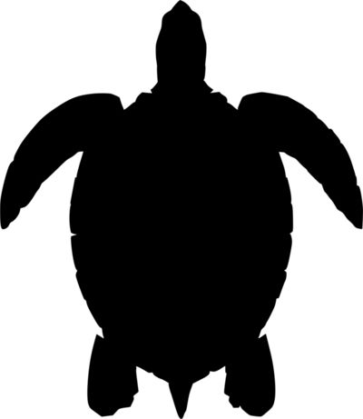 Sea Turtle - Free vector clip art image. #Animal, #BlackAndWhite, #ClipArt, #Fauna, #Free, #PublicDomain, #Reptile, #SVG, #Silhouette, #VectorImage Turtle Outline, Sea Turtle Svg, Cricut Animals, Turtle Silhouette, Turtle Svg, Under The Sea Decorations, Turtle Images, Elephant Coloring Page, Animal Tails