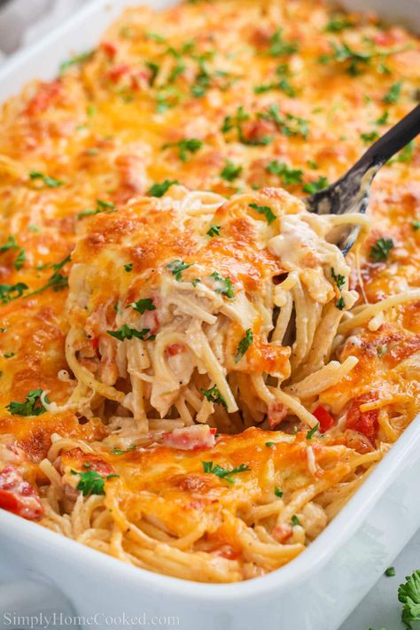 Simply Home Cooked, Spicy Chicken Rigatoni, Turkey Casseroles, Classy Recipes, Chicken And Shrimp Carbonara, Shredded Pork Recipes, Baked Chicken Spaghetti, Pasta Casseroles, Chicken Spaghetti Recipe