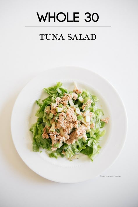 Whole 30 Tuna, Eggs Diet, Can Tuna, Tuna Salad Ingredients, Best Tuna Salad Recipe, Tuna Mayo, Healthy Food Guide, Tuna Salad Recipe, Primal Kitchen