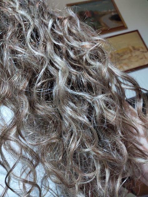 Silver Wavy Hair, Ashy Curly Hair, Ash Brown Hair Curly, Curly Hair With Silver Highlights, Ash Curly Hair, Natural Curly Hair Highlights, Ash Brown Curly Hair, Curly Silver Hair, Ashy Blonde Hair