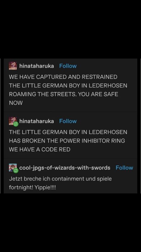 No Little German Boy Jokes, Little German Boy Jokes, Little German Boy, Funny German Memes Humor, Wittgenstein Meme, German Memes, Text Posts Tumblr, Dnd Humor Memes Funny, Boy Meme