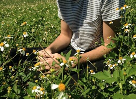 The Grass, A Man, Tumblr