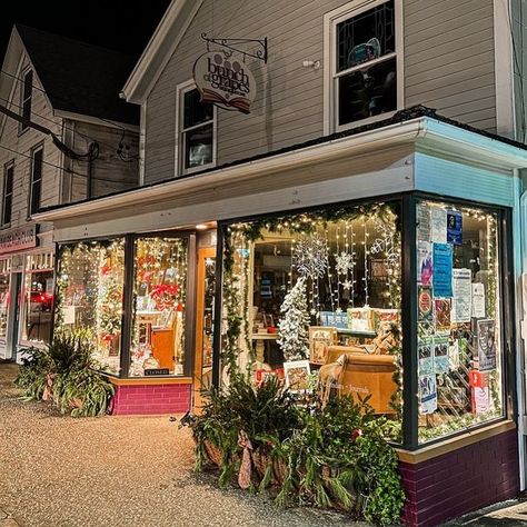 Bookstore Christmas Decorations, Christmas Bookstore Aesthetic, Bookstore Christmas, Christmas Bookstore, Reading Aesthetics, New England Christmas, Cape Cod Photography, 2023 Mood, Indie Bookstore