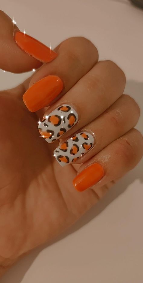 Neon Cheetah Nail Designs, Cheata Nails Acrylic, Neon Lepord Print Nails, Orange Animal Print Nails, Orange Cheetah Nails, Orange Holiday Nails, Orange Leopard Nails, Wild Nails, Pink Bling Nails