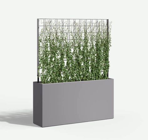 Wilshire Planters, FRP with Trellis | Tournesol Siteworks Modern Plants Outdoor, Commercial Planters, Planter Trellis, Orange Peel Texture, Outdoor Trellis, Plants Outdoor, Fiberglass Planters, Weathering Steel, Steel Planters