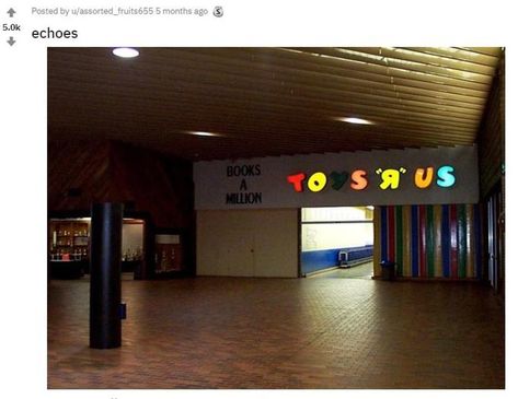 Toys 'R' Us Abandoned Malls, Dead Malls, Weirdcore Aesthetic, Books A Million, Nostalgic Pictures, Nostalgia Aesthetic, Nostalgia Core, Liminal Space, Liminal Spaces