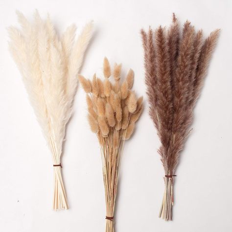 PNT CONCEPT Total 90 Pcs, 17" Set | 30 Pcs White Pampas and Natural Dried Pampas Grass,60 Pcs Natural Rabbit Tail Grass, Perfect for Home Decor, Boho Decor and Wedding Flower Arrangements Dried Pampas Grass Decor, Pampas Grass Bouquet, Dried Pampas, Grass Decor, Pampas Grass Decor, Grass Flower, Boho Flowers, Boho Wedding Decorations, Bouquet Arrangements