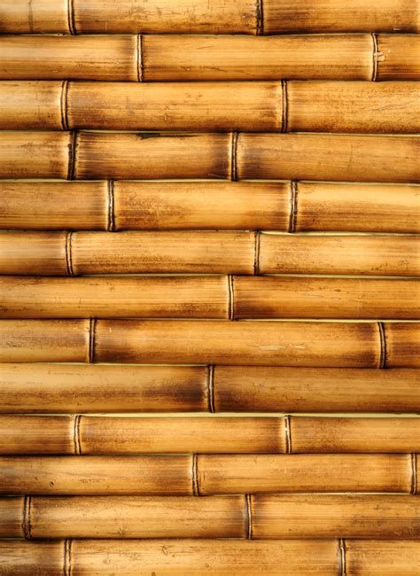 Bamboo Texture Seamless, Bamboo Background, Popsicle Stick Houses, New Air Fryer Recipes, Bamboo Texture, Texture Seamless, Bamboo Fiber, Yahoo Search, Wood Texture