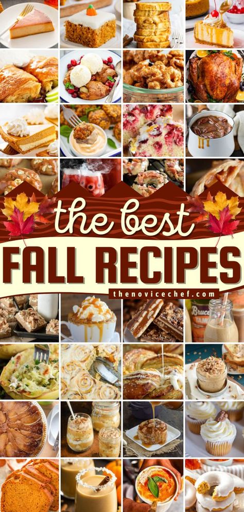 The Best Fall Recipes, fall food, fall drinks Fall Food Menu Ideas, Fall Breakfast Recipes For A Crowd, Fall Comfort Dinners, Autumn Dinners Comfort Foods, Fall Flavor Recipes, Easy Dishes To Bring To A Party Fall, Fall Home Cooked Meals, Fall Crowd Food, Amazing Fall Dinner Recipes