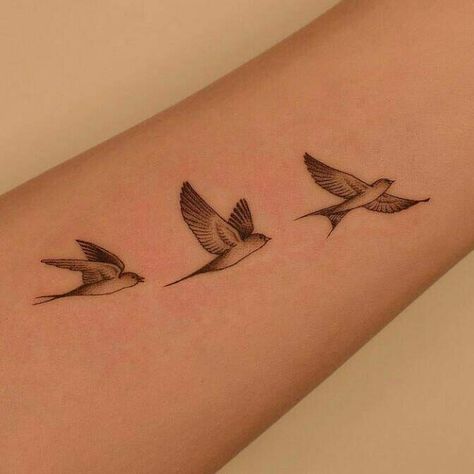 Little Bird Tattoos For Women, Three Little Birds Tattoo, Little Birds Tattoo, Women's Back Tattoos, Bird Hand Tattoo, Tattoo Birds, Rib Tattoos For Guys, Little Bird Tattoos, Swallow Birds