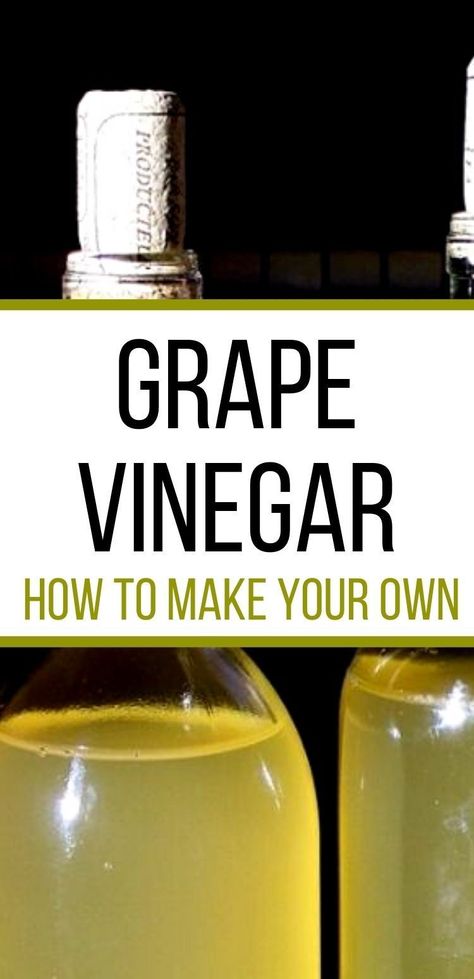 Learn how to create a traditionally fermented fruit vinegar with your grape harvest! Red Wine Vinegar Recipes, Make Vinegar, Preserve Recipes, Homemade Vinegar, Grape Vinegar, Fermented Fruit, How To Make Vinegar, Diy Vinegar, Fruit Vinegar