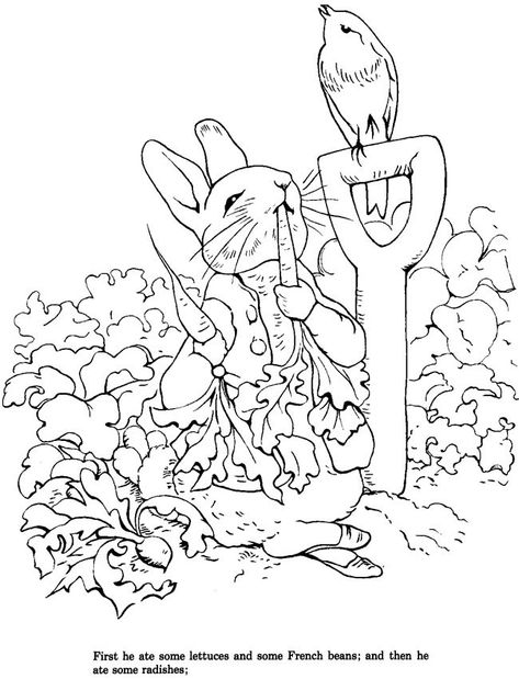 Download: Peter Rabbit Coloring Page Rabbit Coloring Pages, Peter Rabbit Illustration, Rabbit Coloring, Creation Coloring Pages, Kindergarten Coloring, Beatrix Potter Illustrations, Peter Rabbit Party, Rabbit Colors, Peter Rabbit And Friends