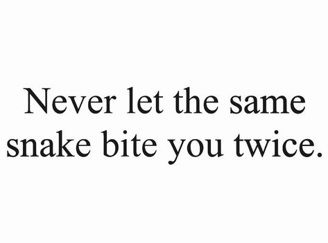 Bite Me Quotes, Snakes Quotes, Logical Quotes, Snake Quotes, Snake People, Logic Quotes, One Word Instagram Captions, Reputation Era, Snake Bite