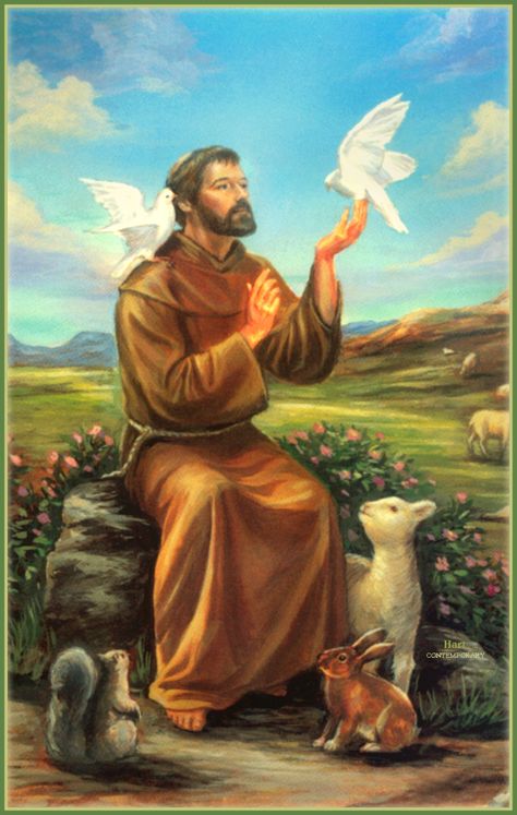 `* *...`Welcome To My Christian Circle Of Faith* Hope* Love*...`* *` - ~*` `*~'ST. FRANCIS OF ASSISI'~*` `*~ St. Francis, Francis Of Assisi Prayer, St Francisco, St Francis Assisi, Patron Saint Of Animals, St Francis Of Assisi, San Francesco, Francis Of Assisi, Religious Images